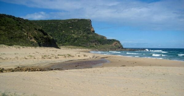 Stockyard Spur to Garie Beach Walk Stockyard spur to garie beach walk