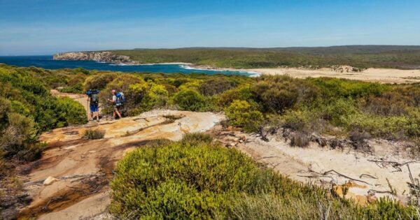 The coast track royal national park