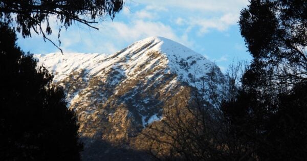 Buller Stirling Loop Buller stirling loop