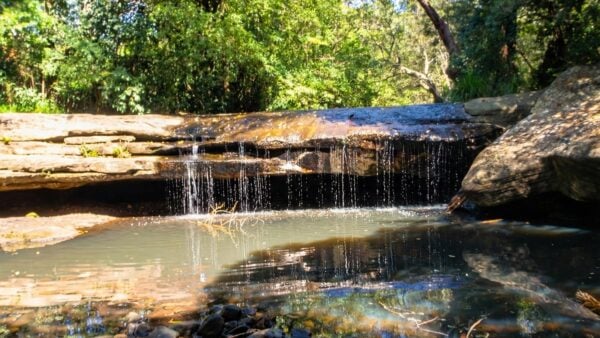 Epping to eastwood station - lane cove river hike