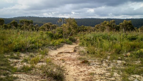 Heathcote to waterfall via uloola track hike (11. 3km)