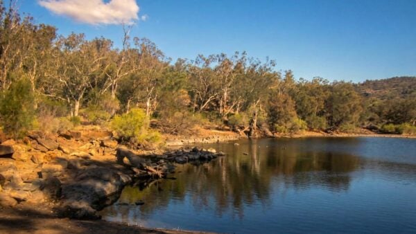 Kangaroo Trail Walk Kangaroo trail walk