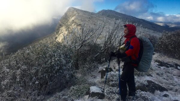 The bluff via link track