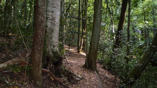 Wallumarra to palona cave walk