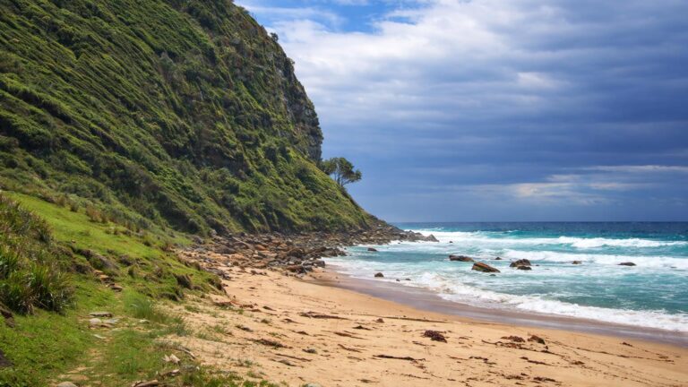 Werrong Beach track Werrong beach track
