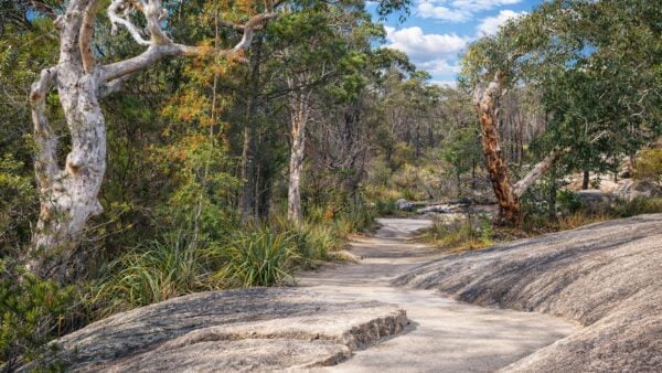 Bald rock creek circuit walk