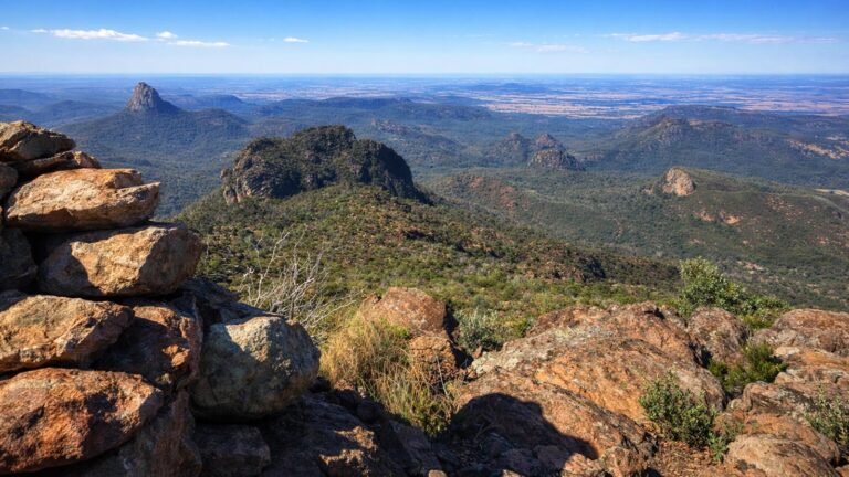 Bluff Mountain Walking Track Bluff mountain walking track