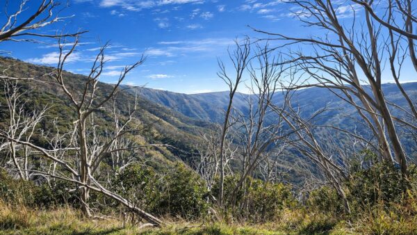 Cobungra ditch circuit hike