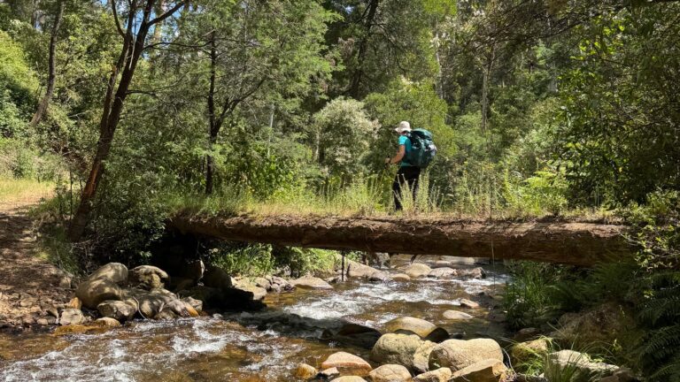 Delatite river trail alpine national park 768x432