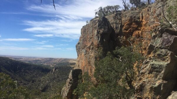 Falcons lookout walk