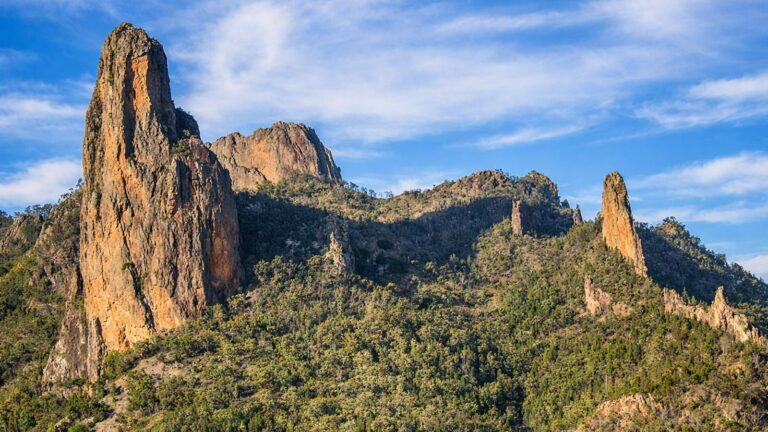 Goulds circuit walking track