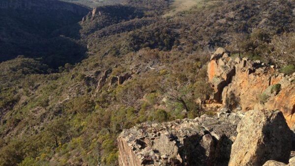 Ingliston granites & falcons circuit
