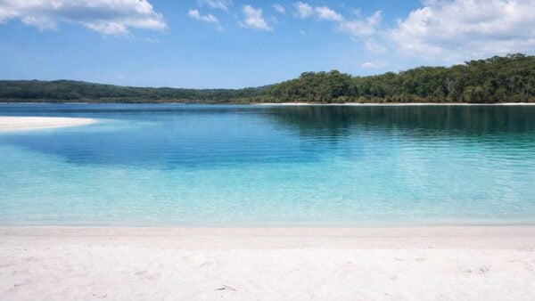 Lake mckenzie circuit hike