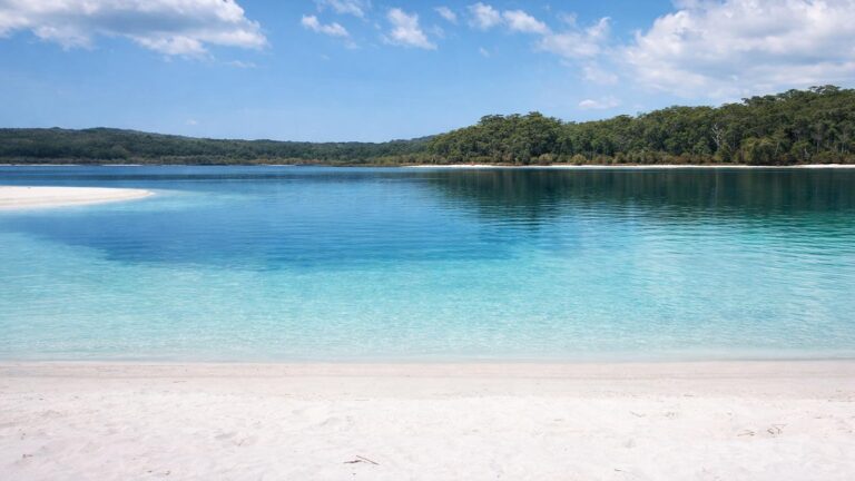 Lake McKenzie Circuit Hike Lake mckenzie circuit hike