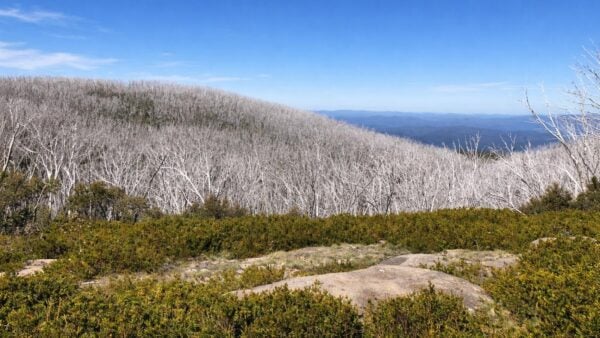 Lake mountain & keppel hut hike