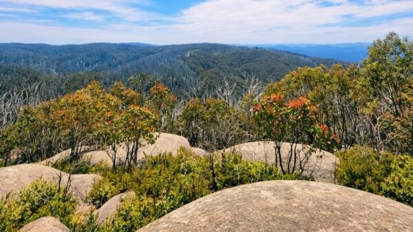Lake mountain summit walk