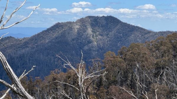 Little mount buller walk