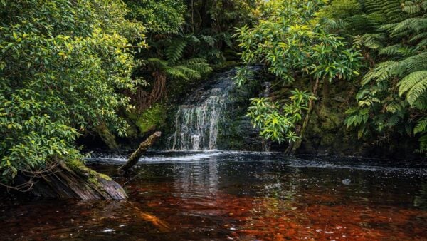 Lovers falls paddle and hike