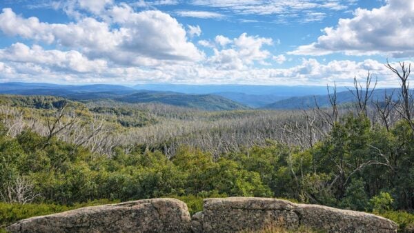 Mount arnold summit walk