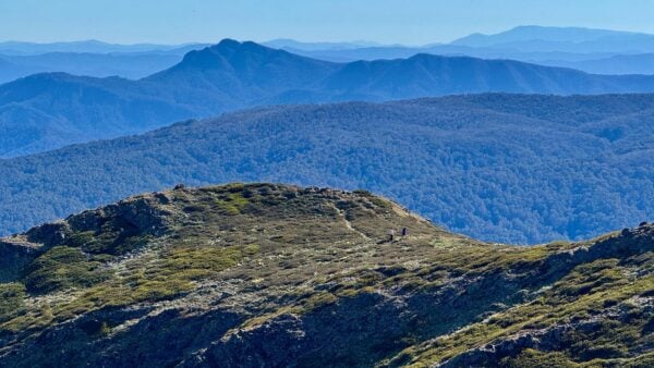 Mount buller summit nature walk