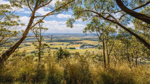 Mount Buninyong South Walk Mount buninyong south walk