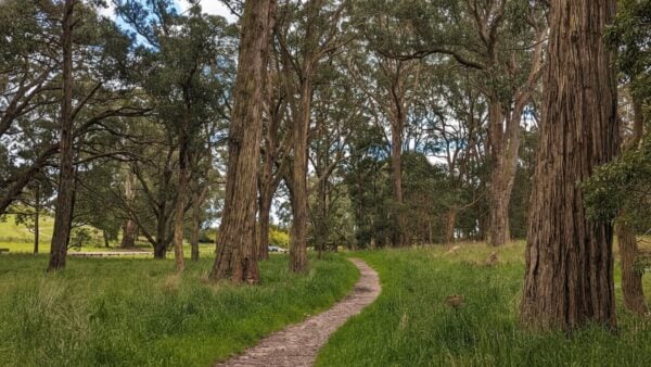 Mount buninyong zigzag summit walk
