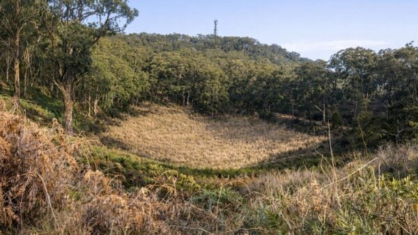 Mount buninyong the crater walk