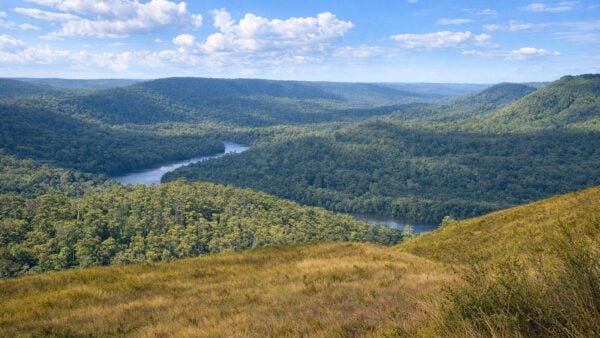 Mount donaldson summit walk