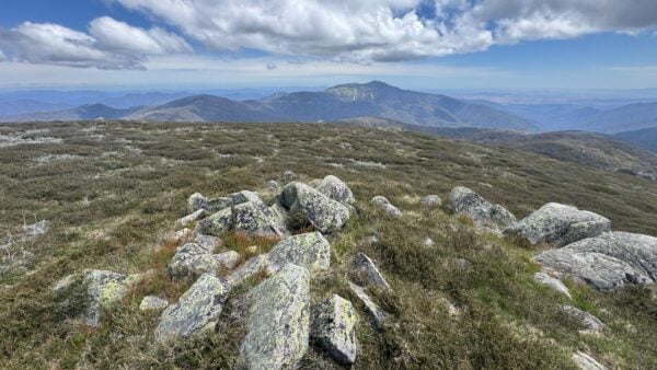 Mount stirling craigs hut loop hike