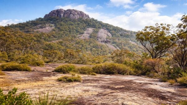 Peak trail