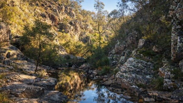 Steiglitz three creeks circuit