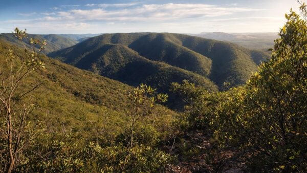 The scenic rim: river & link 1 hike