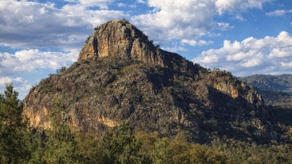 Wambelong nature walking track