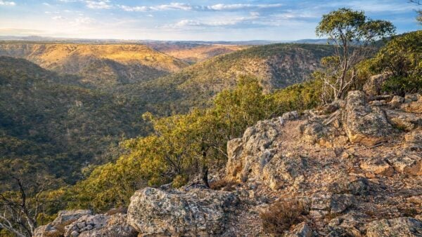 Western bluff lookout walk
