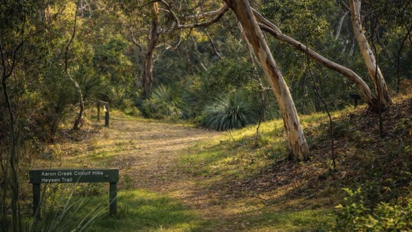 Aaron creek circuit hike