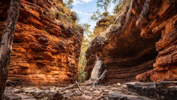 Alligator and hidden gorge loop