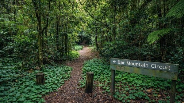 Bar mountain circuit walk