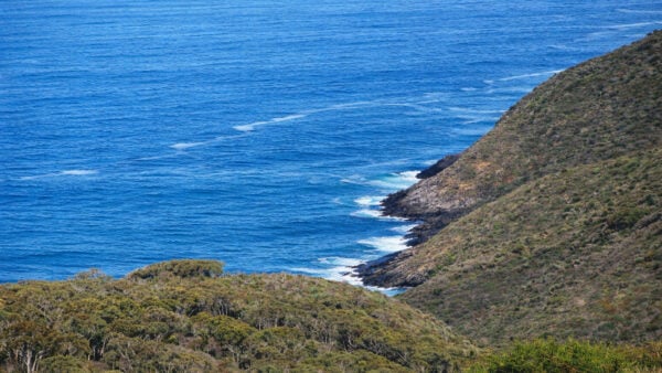 Boat harbor hike