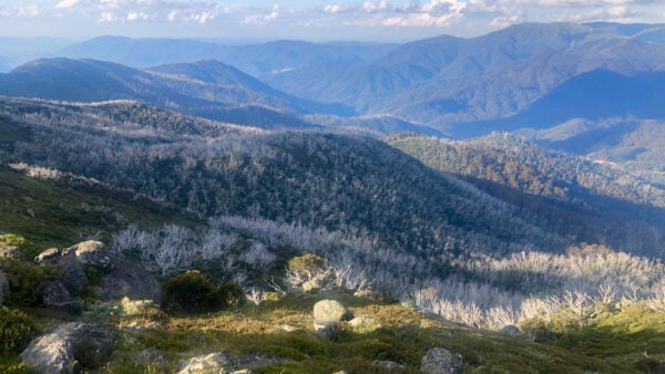 Bogong-hotham alpine circuit