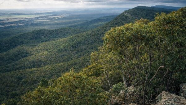 Burrabadine peak walking track