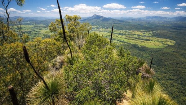 Pinnacle lookout walk