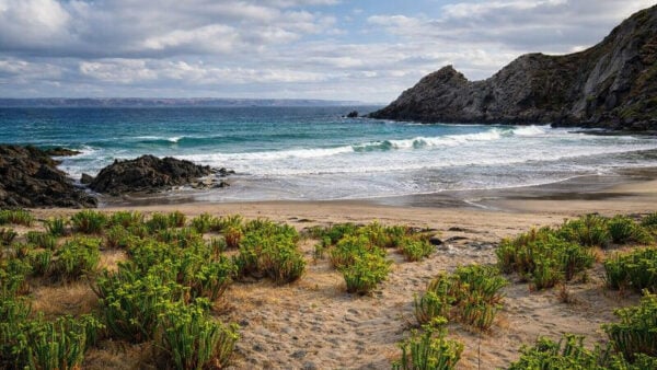 Wild south coast way on the heysen trail