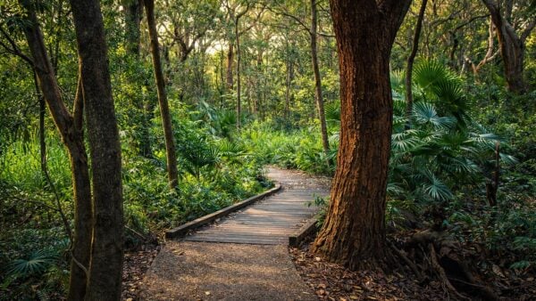 Banks-solander track (700m)