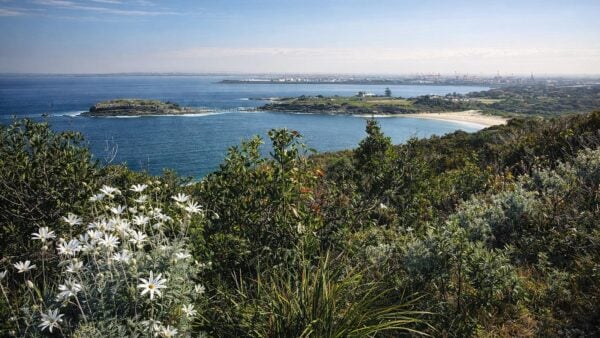 Bare island to maroubra - henry head hike