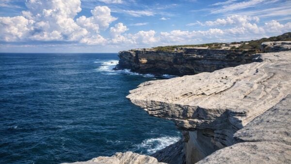 Cape bailey track from cape solander lookout