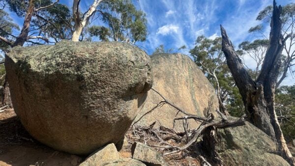 Dam track to mount beckworth summit