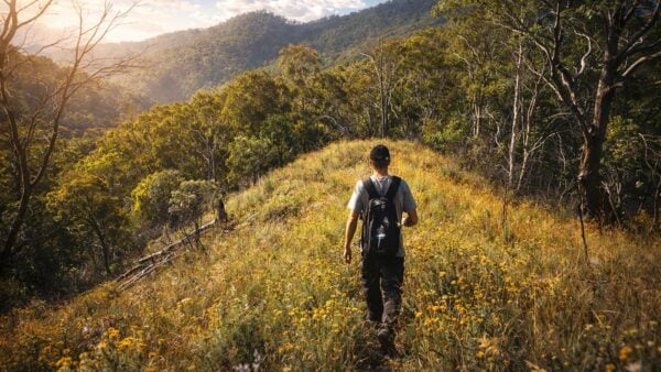 Hiker walking along an open ridgeline in dry bushland under clear weather conditions