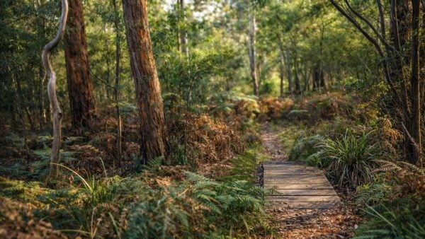 Mafeking brownings loop walk