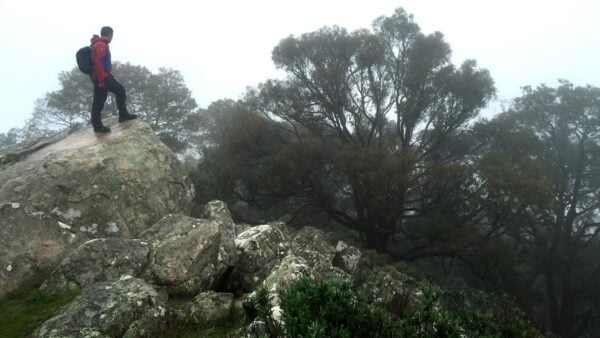 Mount beckworth southern circuit hike