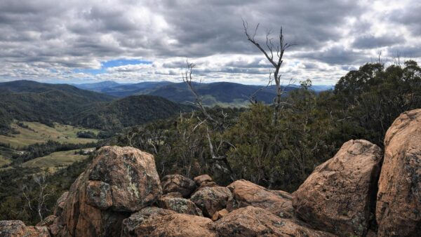 Mount ned overlook walk